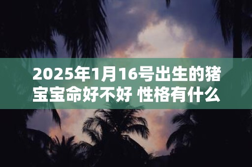 2025年1月16号出生的猪宝宝命好不好 性格有什么特点