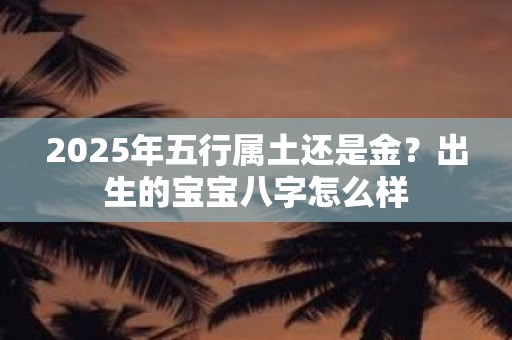 2025年五行属土还是金？出生的宝宝八字怎么样