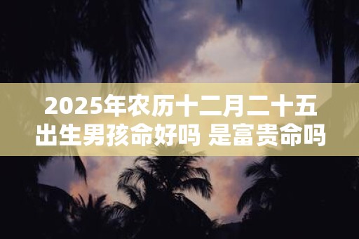 2025年农历十二月二十五出生男孩命好吗 是富贵命吗