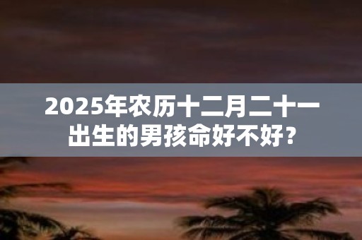 2025年农历十二月二十一出生的男孩命好不好？