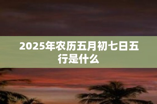 2025年农历五月初七日五行是什么