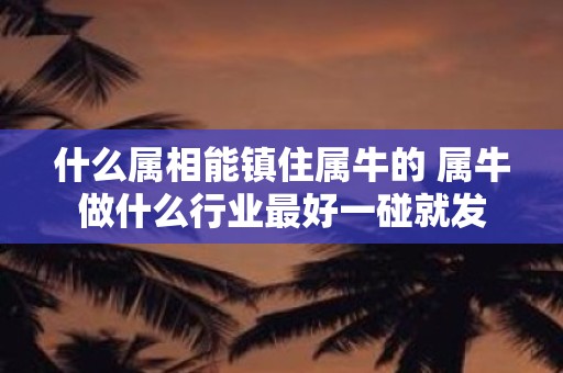 什么属相能镇住属牛的 属牛做什么行业最好一碰就发