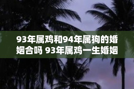 93年属鸡和94年属狗的婚姻合吗 93年属鸡一生婚姻好吗