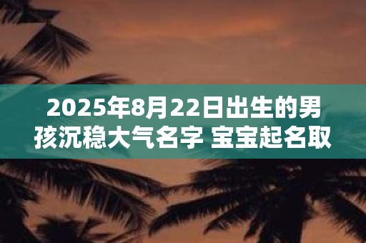 2025年8月22日出生的男孩沉稳大气名字 宝宝起名取名用字大全