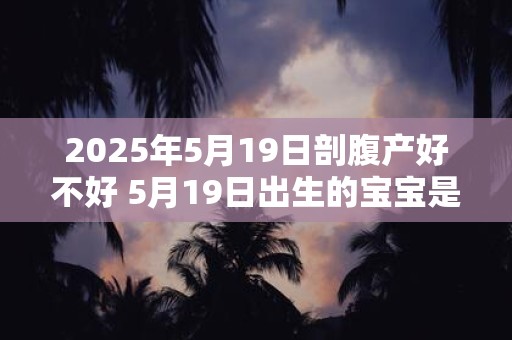 2025年5月19日剖腹产好不好 5月19日出生的宝宝是什么命