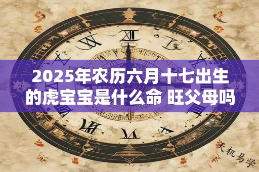 2025年农历六月十七出生的虎宝宝是什么命 旺父母吗