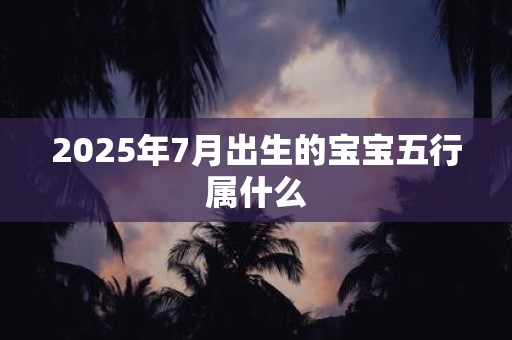 2025年7月出生的宝宝五行属什么