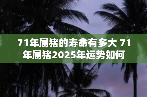 71年属猪的寿命有多大 71年属猪2025年运势如何