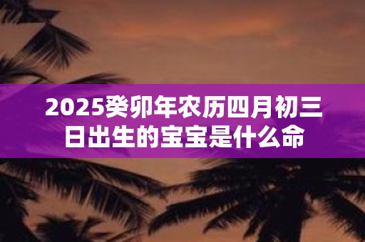 2025癸卯年农历四月初三日出生的宝宝是什么命