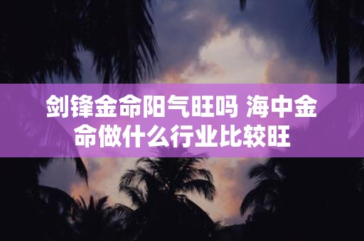 剑锋金命阳气旺吗 海中金命做什么行业比较旺