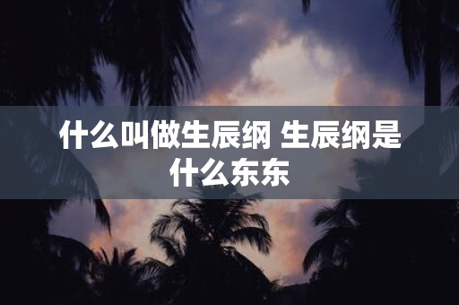 什么叫做生辰纲 生辰纲是什么东东