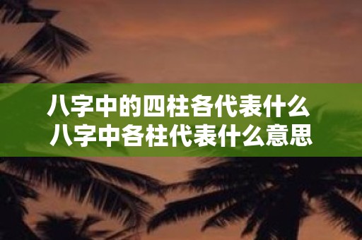 八字中的四柱各代表什么 八字中各柱代表什么意思