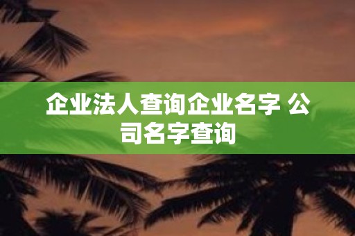 企业法人查询企业名字 公司名字查询