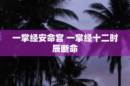 一掌经安命宫 一掌经十二时辰断命