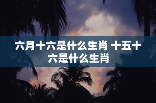 六月十六是什么生肖 十五十六是什么生肖