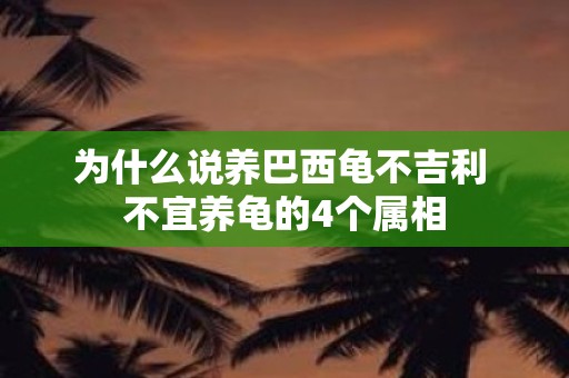 为什么说养巴西龟不吉利 不宜养龟的4个属相