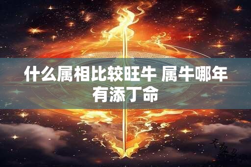 什么属相比较旺牛 属牛哪年有添丁命