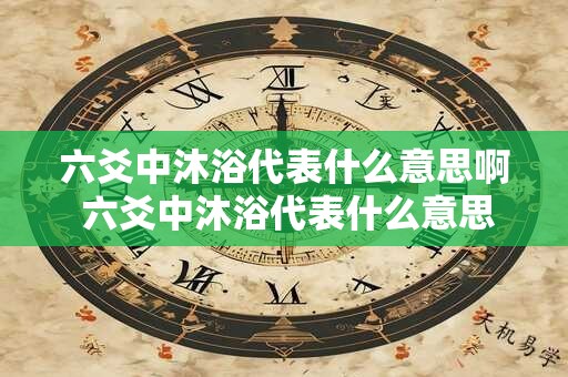 六爻中沐浴代表什么意思啊 六爻中沐浴代表什么意思啊