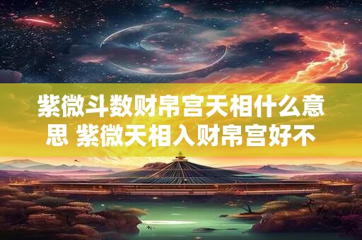 紫微斗数财帛宫天相什么意思 紫微天相入财帛宫好不好