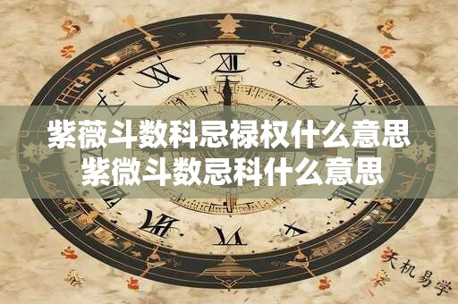 紫薇斗数科忌禄权什么意思 紫微斗数忌科什么意思