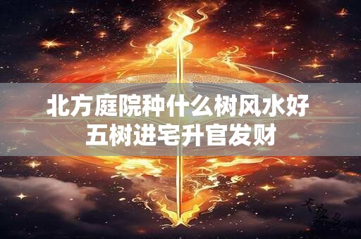 北方庭院种什么树风水好 五树进宅升官发财