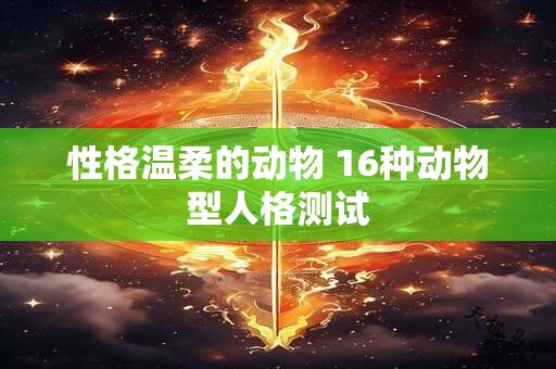 性格温柔的动物 16种动物型人格测试