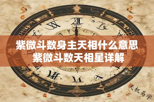 紫微斗数身主天相什么意思 紫微斗数天相星详解