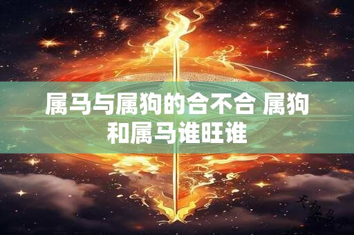 属马与属狗的合不合 属狗和属马谁旺谁