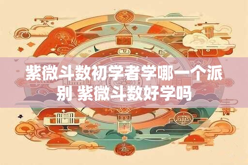 紫微斗数初学者学哪一个派别 紫微斗数好学吗