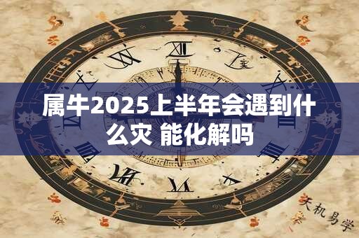 属牛2025上半年会遇到什么灾 能化解吗