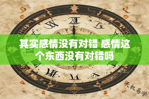 其实感情没有对错 感情这个东西没有对错吗