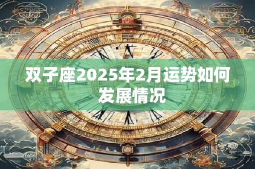 双子座2025年2月运势如何  发展情况