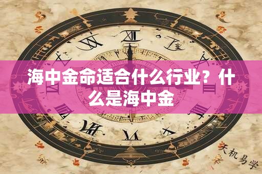 海中金命适合什么行业？什么是海中金