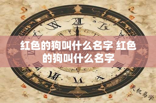 红色的狗叫什么名字 红色的狗叫什么名字