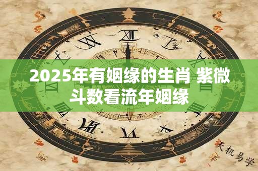 2025年有姻缘的生肖 紫微斗数看流年姻缘