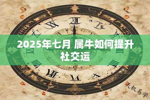 2025年七月 属牛如何提升社交运