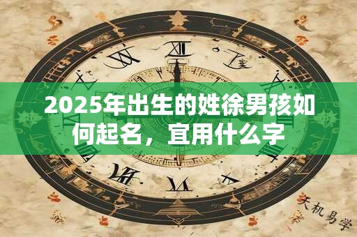 2025年出生的姓徐男孩如何起名，宜用什么字