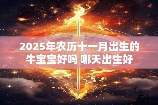 2025年农历十一月出生的牛宝宝好吗 哪天出生好