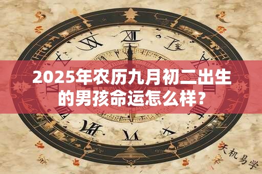 2025年农历九月初二出生的男孩命运怎么样？