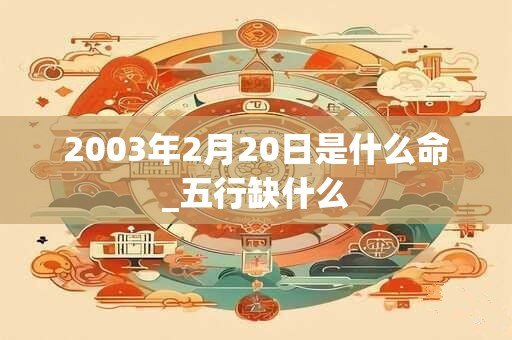 2003年2月20日是什么命_五行缺什么