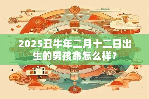 2025丑牛年二月十二日出生的男孩命怎么样？