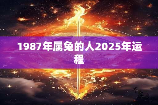 1987年属兔的人2025年运程