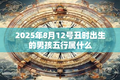 2025年8月12号丑时出生的男孩五行属什么