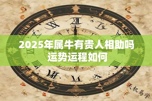 2025年属牛有贵人相助吗 运势运程如何