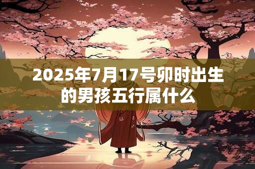 2025年7月17号卯时出生的男孩五行属什么