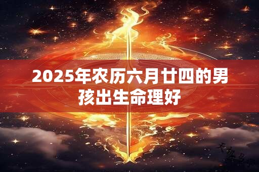 2025年农历六月廿四的男孩出生命理好