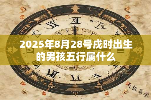 2025年8月28号戌时出生的男孩五行属什么