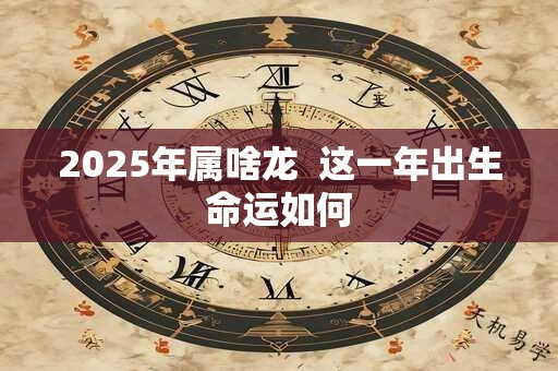 2025年属啥龙  这一年出生命运如何