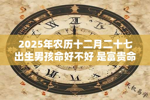 2025年农历十二月二十七出生男孩命好不好 是富贵命吗