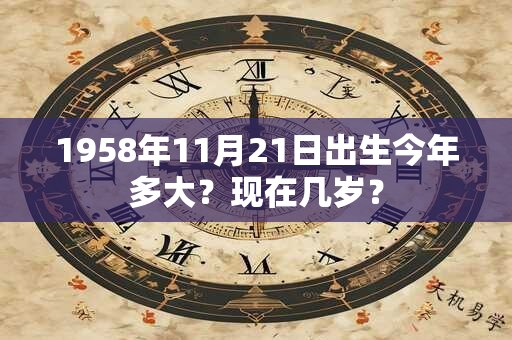 1958年11月21日出生今年多大？现在几岁？